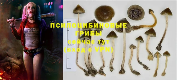 марки lsd Пролетарск